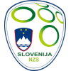 Slovenië elftal tenue