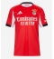 Benfica Franjo Ivanovic #9 Thuis tenue 2025-26 Korte Mouwen
