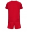 Denemarken Thuis tenue voor kinderen WK 2022 Korte Mouwen (+ broek)